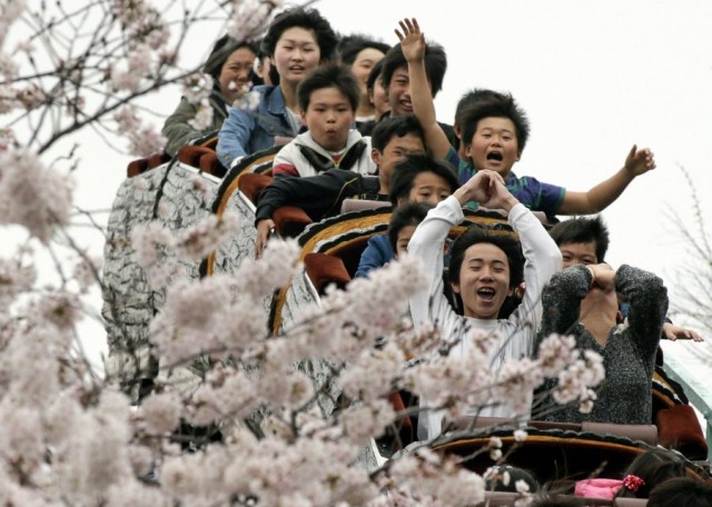 Roller coaster riders enjoy viewing cherry blossoms