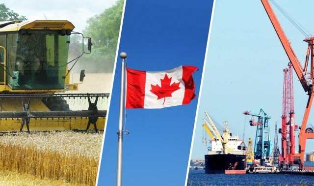 O Καναδάς αυξάνει την παραγωγή σιταριού