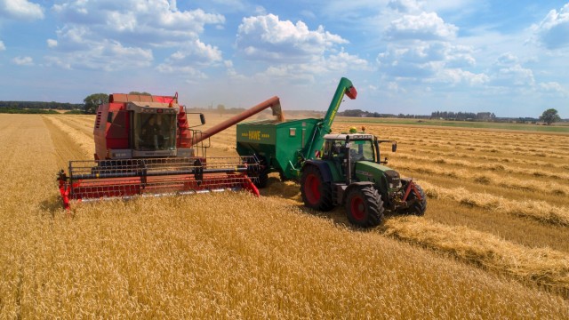 Η Γεωργία απαγορεύει τις εξαγωγές σιταριού και κριθαριού