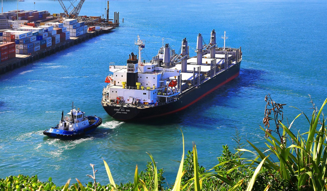 bulk carriers