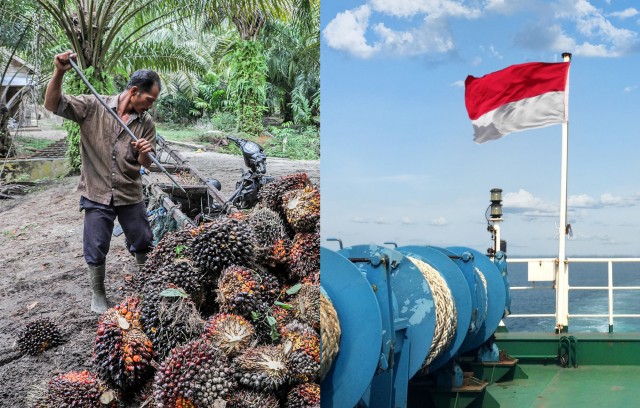 Ινδονησία: Stop στις εξαγωγές φοινικέλαιου